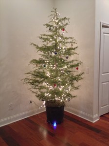 Photo Dec 18, 6 42 00 PM